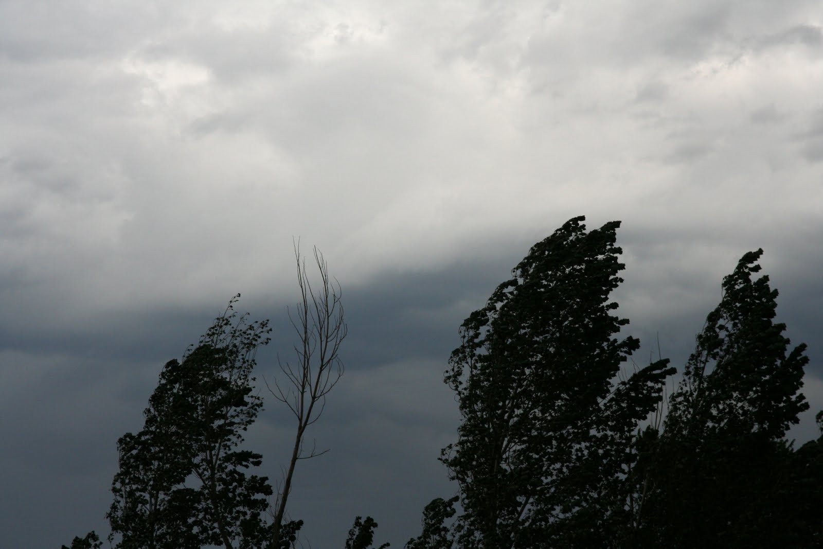 Storms Blowing in